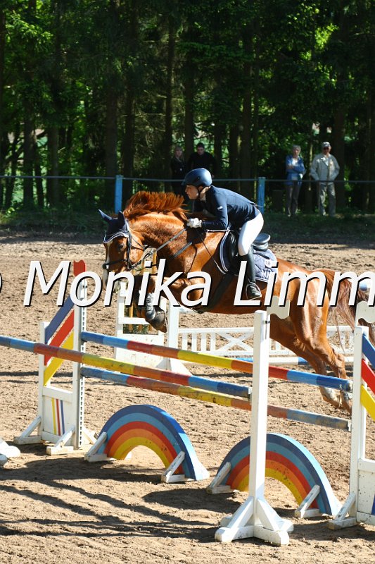 104M9033_Spring M_m.Stechen.JPG